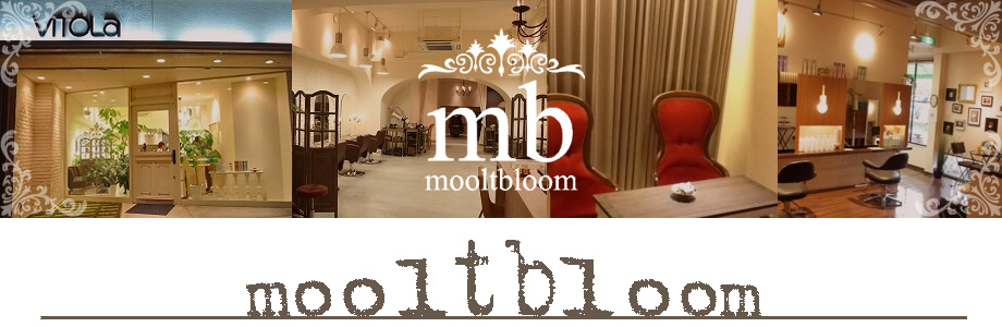 モルトブルーム